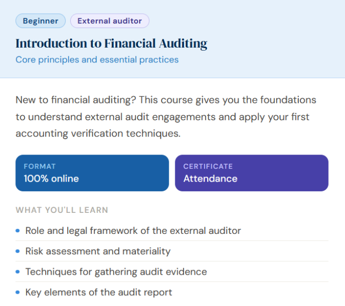 Financial Auditing