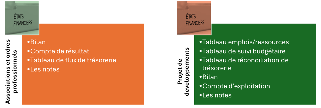 Etats Financiers SYCEBNL
